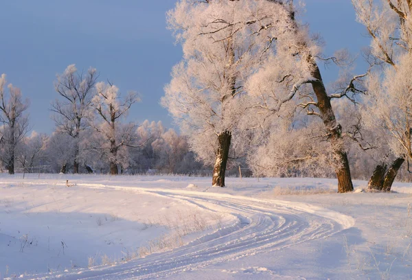 Frostiger Wintertag Dorfrand — Stockfoto