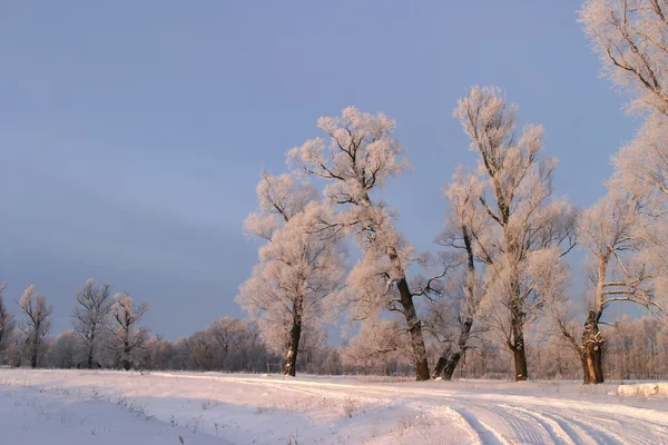 Frostiger Wintertag Dorfrand — Stockfoto