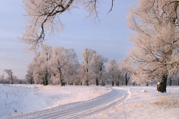 Dia Inverno Gelado Nos Arredores Aldeia — Fotografia de Stock