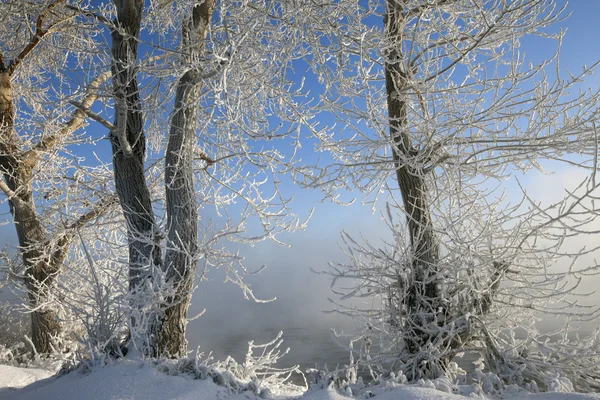 Giornata Invernale Soleggiata Sul Fiume Kama — Foto Stock