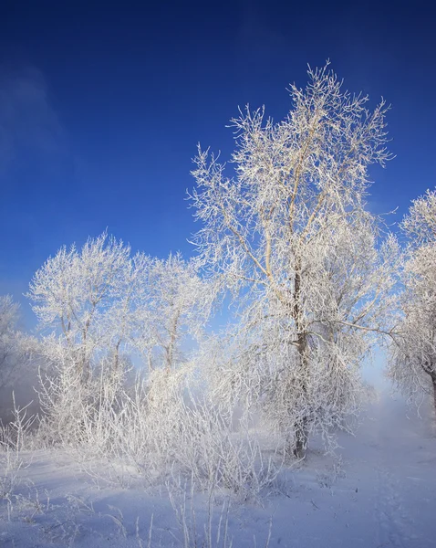 Giornata Invernale Soleggiata Sul Fiume Kama — Foto Stock