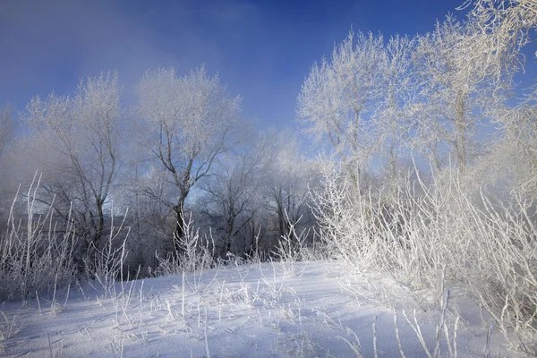 Słoneczny Zimowy Dzień Nad Rzeką Kamą — Zdjęcie stockowe