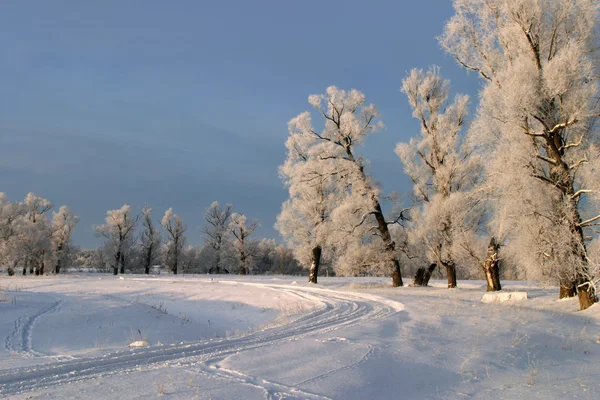 Journée ensoleillée d'hiver — Photo