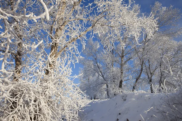 Giornata Invernale Soleggiata Sul Fiume Kama — Foto Stock