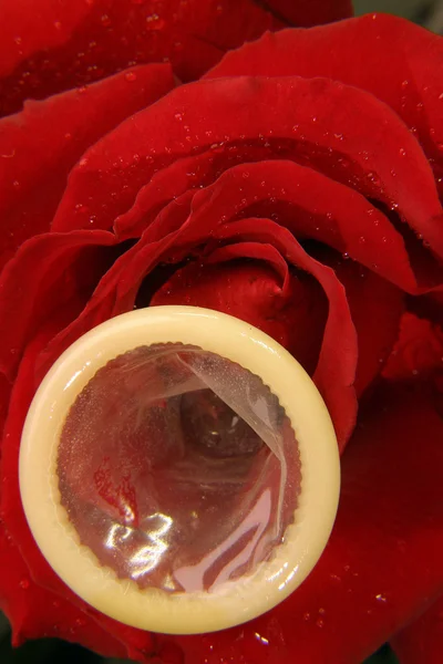 condom and flower covered by water drops