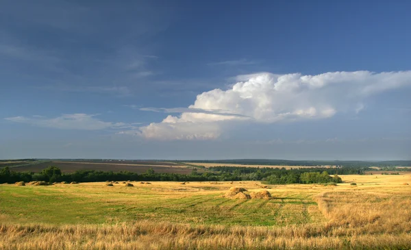 夏季景观的谷田 在炎热的夏天雷雨前 — 图库照片