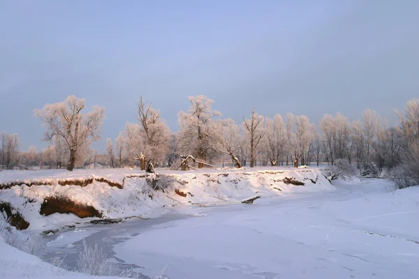 Fagyos Téli Napon Falu Határában — Stock Fotó