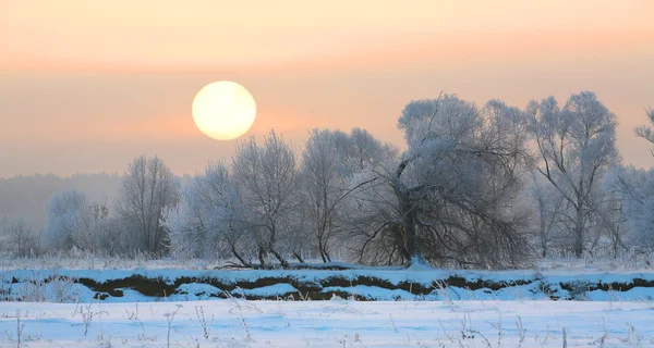 Salida del sol en invierno —  Fotos de Stock