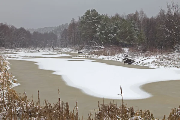 Tempête Neige Fin Automne Dans Forêt — Photo