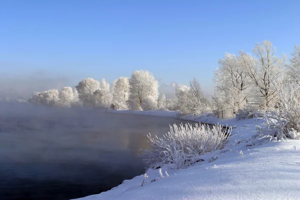 Frostiges Wintermärchen — Stockfoto