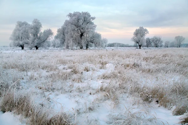 Soluppgång i vinter — Stockfoto