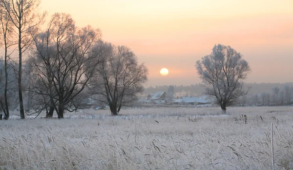 Soluppgång i vinter — Stockfoto