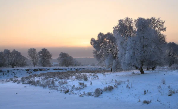 Sonnenaufgang Frostiger Wintermorgen Auf Den Wiesen — Stockfoto