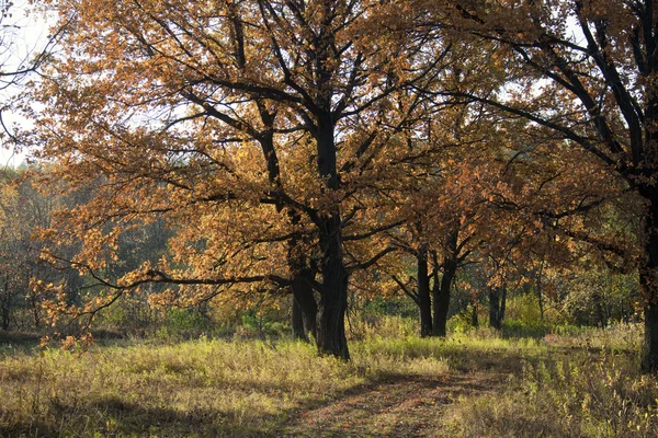 Journée ensoleillée d'automne — Photo