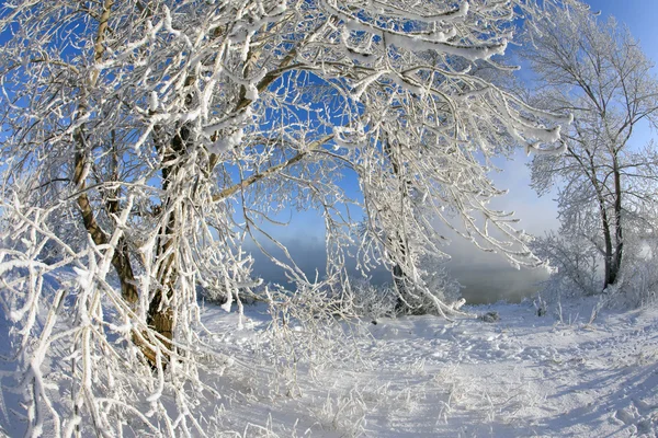 Giornata invernale soleggiata — Foto Stock