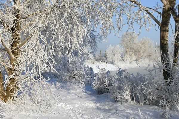 Giornata Invernale Soleggiata Sul Fiume Kama — Foto Stock