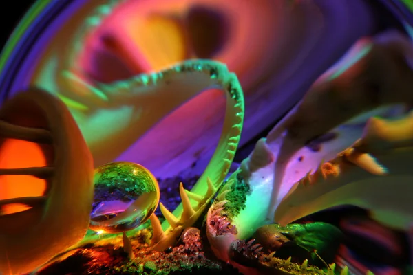 Naturaleza Muerta Iluminado Colores Espectrales Bola Través —  Fotos de Stock