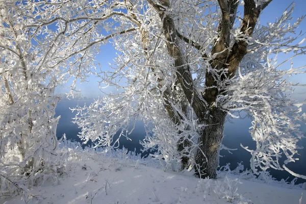 Giornata Invernale Soleggiata Sul Fiume Kama — Foto Stock