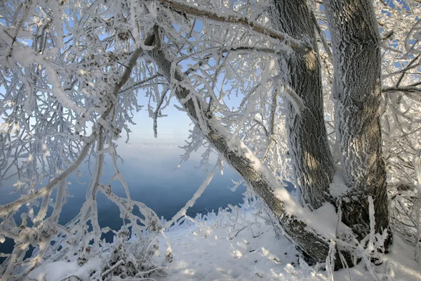 따사 로운 겨울날 — 스톡 사진