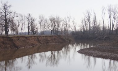 Nehir manzarası ve yaprakları olmayan ağaçlar sisli bahar sabahının erken saatlerinde