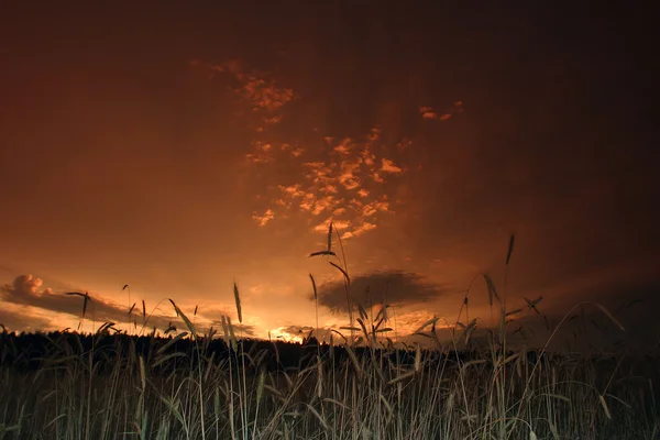 Schöne Aussicht Auf Den Sonnenuntergang Vom Feld Aus — Stockfoto