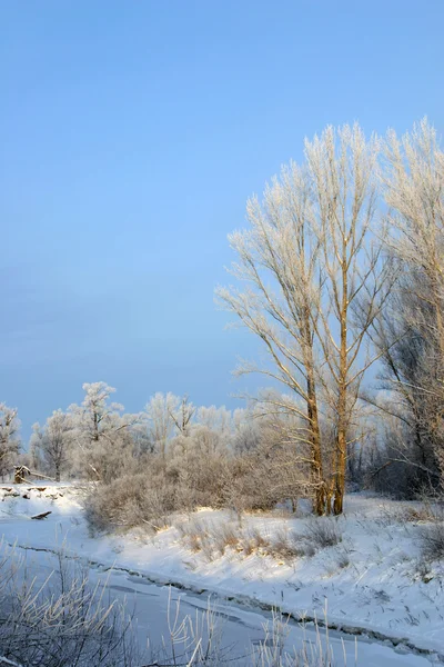 Helada Día Invierno Las Afueras Aldea —  Fotos de Stock