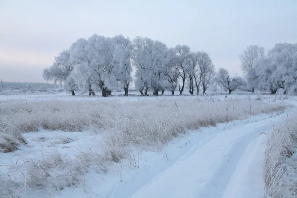 Strada Innevata Mattino Presto Fuori Dal Villaggio — Foto Stock