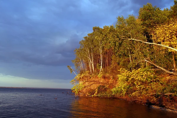 Mooie Herfst Bos Aan Oevers Van Grote Rivier — Stockfoto