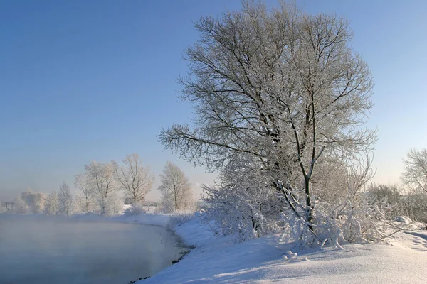 Солнечный Зимний День Реке Кама — стоковое фото
