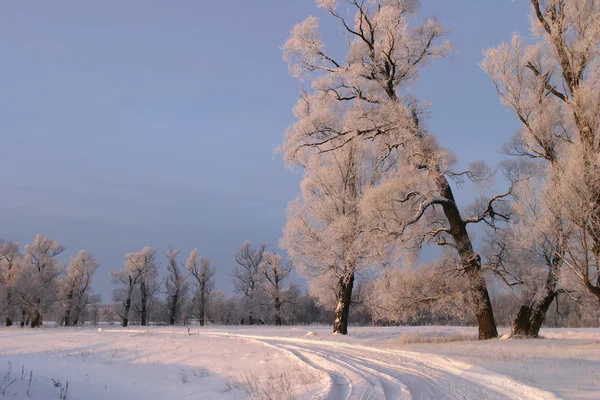 Морозный Зимний День Окраине Деревни — стоковое фото