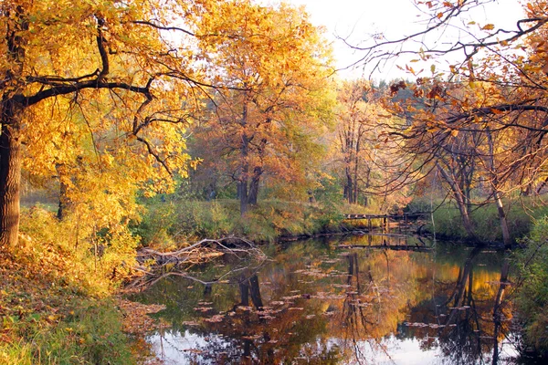 Paesaggio d'autunno dorato — Foto Stock