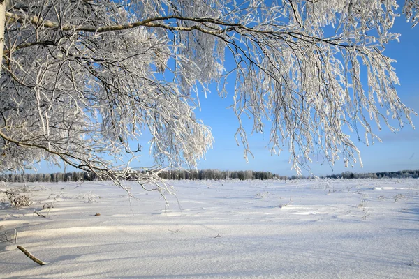 Ijzig winterlandschap — Stockfoto