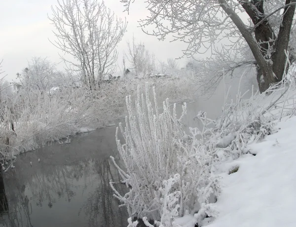 Nehirdeki Yoğun Sislerin Kış Manzarası Kıyı Üzerindeki Buzlarla Kaplı Ağaçlar — Stok fotoğraf