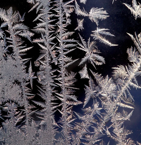 Frost Güzel desenler — Stok fotoğraf