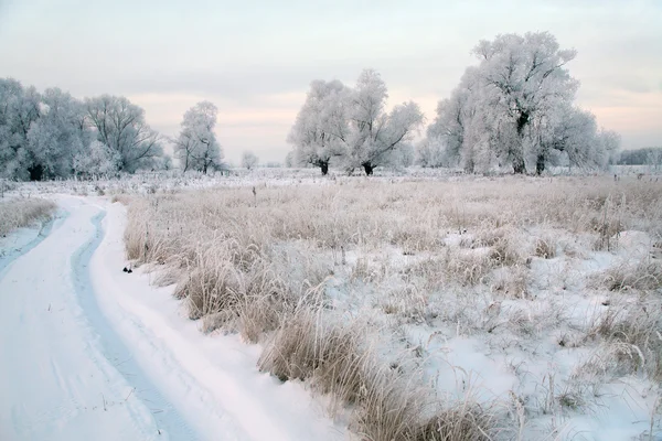 Inverno Paisagem Coberto Neve Estrada Terra Perto Bosque Carvalho Dia — Fotografia de Stock