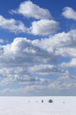 Baharın başlarında, kar kaplı tarlanın üzerindeki mavi gökyüzünde muhteşem beyaz bulutlar.