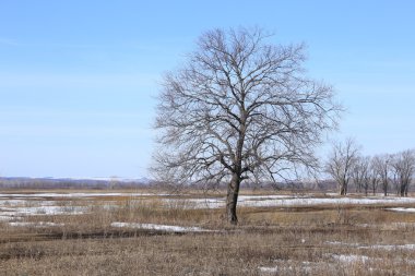 Baharın erken saatlerinde güneşli bir günde nehir üzerindeki buzlar sürükleniyor. 