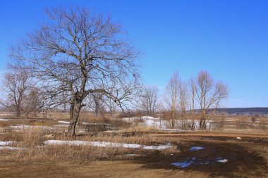 Manzara erken alanında güneşli bir bahar 