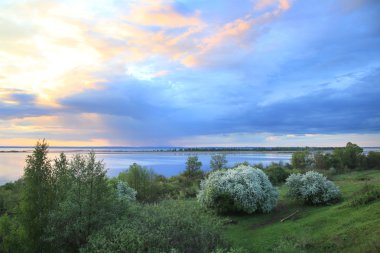 nehir kıyısında çiçek açması elma ağacı