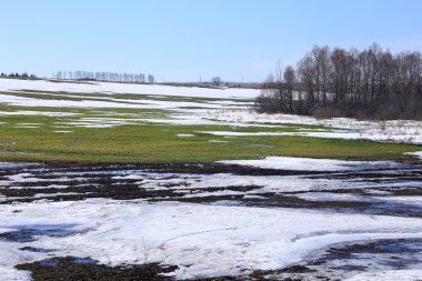 Manzara erken alanında güneşli bir bahar 