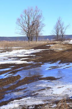 Manzara erken alanında güneşli bir bahar 