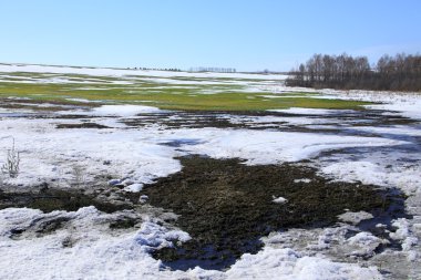 Manzara erken alanında güneşli bir bahar 