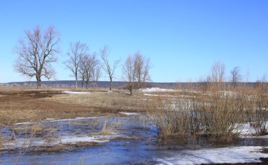 Manzara erken alanında güneşli bir bahar 