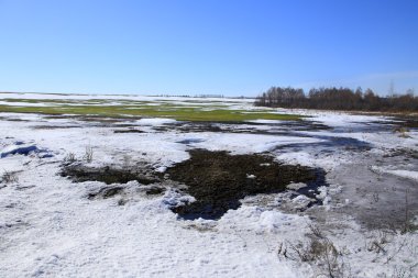 Manzara erken alanında güneşli bir bahar 