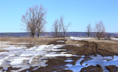 Manzara erken alanında güneşli bir bahar 