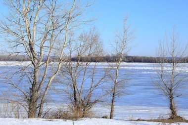 Baharın erken saatlerinde güneşli bir günde nehir üzerindeki buzlar sürükleniyor. 