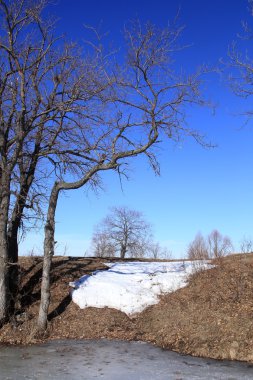 Buz Nehri üzerinde yüzen 