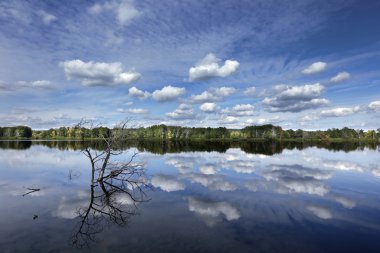 kabarık beyaz bulutlar