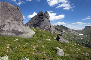 Batı Sayan dağda kaplumbağa