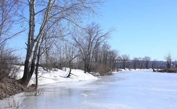 Baharın Erken Saatlerinde Güneşli Bir Günde Nehir Üzerindeki Buzlar Sürükleniyor — Stok fotoğraf